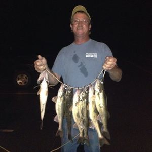 Meet your Posher, Steve